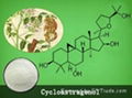 Cycloastragenol 50% 90% 98%