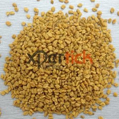 Fenugreek Seeds