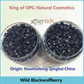 Tibetan Wild Black Goji Wolfberry—Qinghai Origin 1