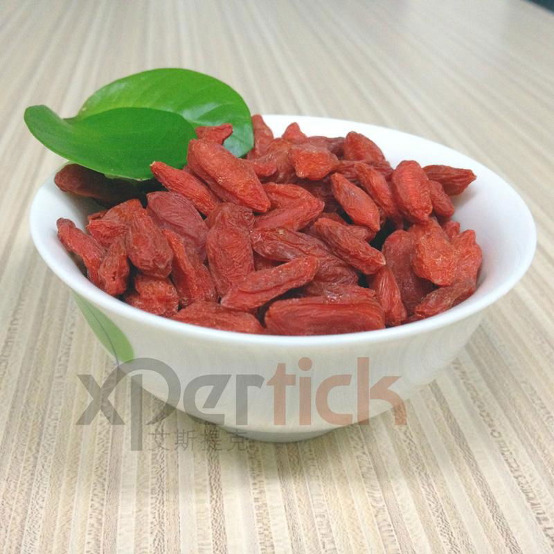 Tibetan Natural Dried Red Goji berry Qinghai Origin 2