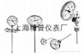 WSS上海精普仪表厂双金属温度