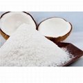 Vietnam High-Quality Desiccated Coconut - High Fat 200gr