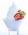 Soft  Ice Cream Frozen Yogurt Freezer BQL916T