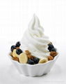 Soft  Ice Cream Frozen Yogurt Freezer BQL916T