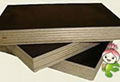 18mm Black film faced plywood manufacturer 3