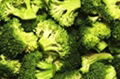 IQF broccoli florets 1