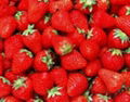 IQF strawberry 1