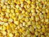 IQF Sweet Corn Kernels