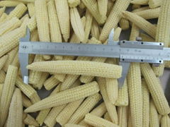 IQF Baby Corn