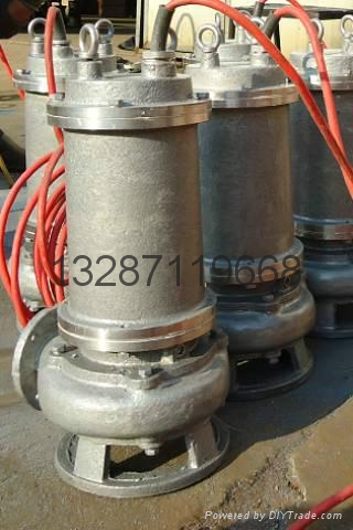 全鑄造不鏽鋼污水泵 3