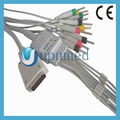 ShangHai Kohden 10 lead EKG cable  1