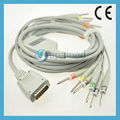 ShangHai Kohden 10 lead EKG cable  2