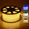 AC 220V LED Strip lights 100m  1