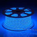 AC 220V LED Strip lights 100m  5