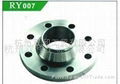 DBP GB Standard  flange 304 FLANGES 1