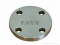  ANSI BLRF FLANGE Stainless Steel  316/316L