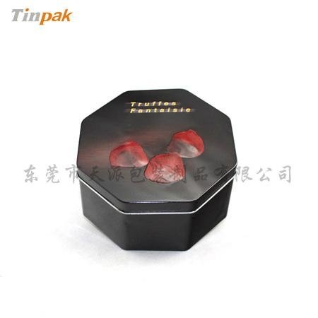 Small Metal Cookie Tin Packaging 4