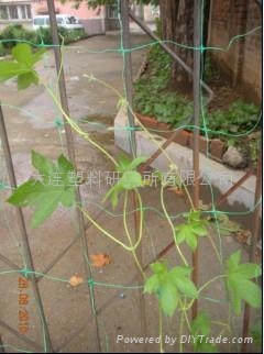 聚丙烯双向拉伸网生产设备 2