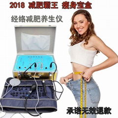 FR-029 Portable electric stimulation slimming beauty machine 