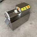 Electric Stainless steel Potato cutter, carrot strip cutter/Vegetable Cutting 