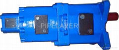 Gear pump for pipelayer