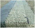 Gabion mesh 2