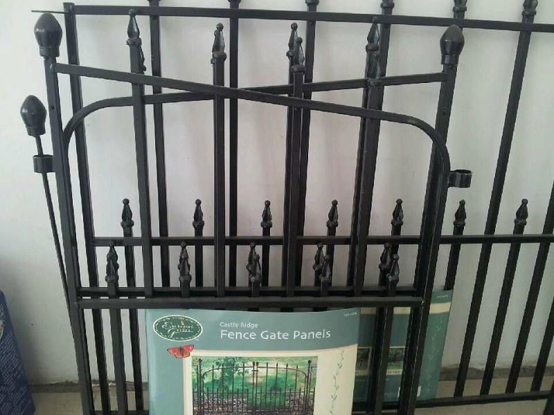 Wrought iron fence 3