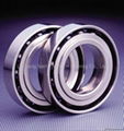 Miniature Deep Groove Ball Bearing