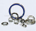 Sealed Type Four Point Contact Ball Bearing  1