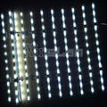 Cost-effective LED Lattice strip light for light boxes backlight