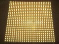 dc12v waterproof smd led backlight module(Max size 90x90cm)