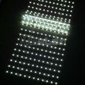 Led backlight sheet SMD Flexible Led Lattice for lightbox backlight