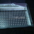 Cost-effective LED Lattice strip light for light boxes backlight