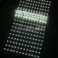 12v/24v slim led backlit lattice for big light boxes backlight