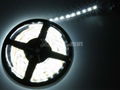 5050 LED strip light waterproof or Non-waterproof