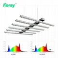 全光谱LED生长植物灯室内水培商用园艺顶光高功率模组阵列灯