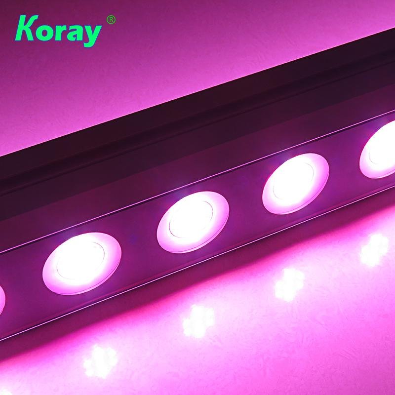 Full spectrum LED Grow Light  for commercial cultivation plants growth 5