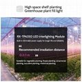 Full spectrum LED Grow Light  for commercial cultivation plants growth 13