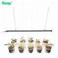 Factory price supply led grow light for vertical farm / indoor plants / flower