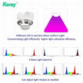 四通道四種不同的光譜單獨控制調光植物燈實驗種植育苗植物工廠