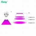 Factory price supply led grow light for vertical farm / indoor plants / flower