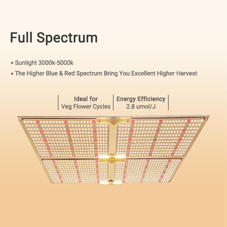 SF4000 G4000 Led 植物燈 3