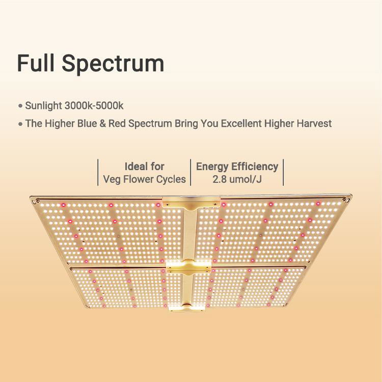 Spider SF4000 SF 4000 2000 1000 Led Grow Light Board 3