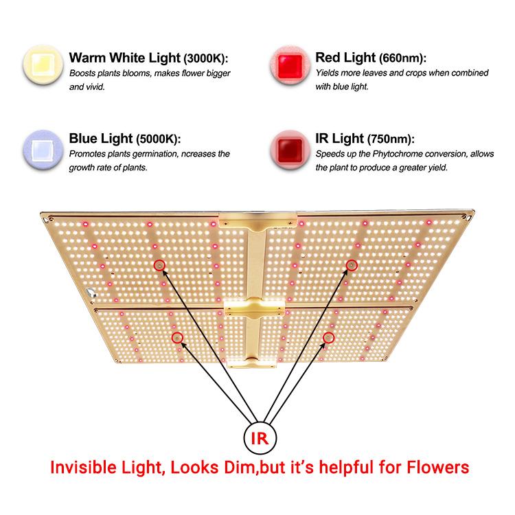 SF4000 G4000 Led 植物燈 4