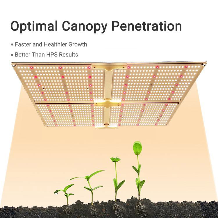 SF4000 G4000 Led 植物灯 5