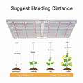 Spider SF2000 SF 2000 SF-2000 Led Grow Light  Board 2