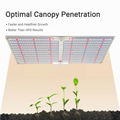 G2000 SF2000 LED量子版植物生长灯 6