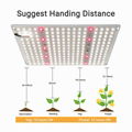 G1000 Led Grow Light 量子版植物灯 2