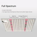 G1000 Led Grow Light 量子版植物燈 3