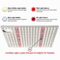 G1000 Led Grow Light 量子版植物灯 6